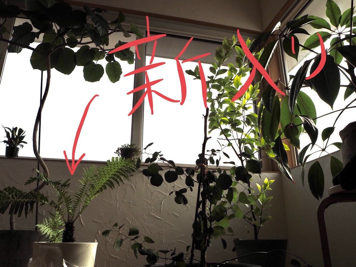 f:id:zokulifeblog:20191222233653j:plain