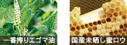 f:id:zokulifeblog:20200112121235j:plain