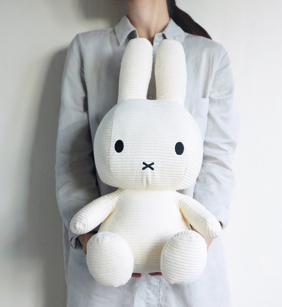 f:id:zokulifeblog:20210117130421j:plain