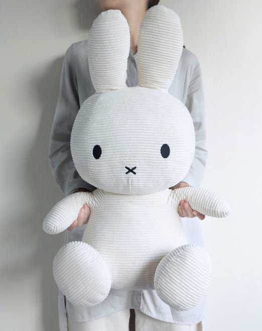 f:id:zokulifeblog:20210117130538j:plain