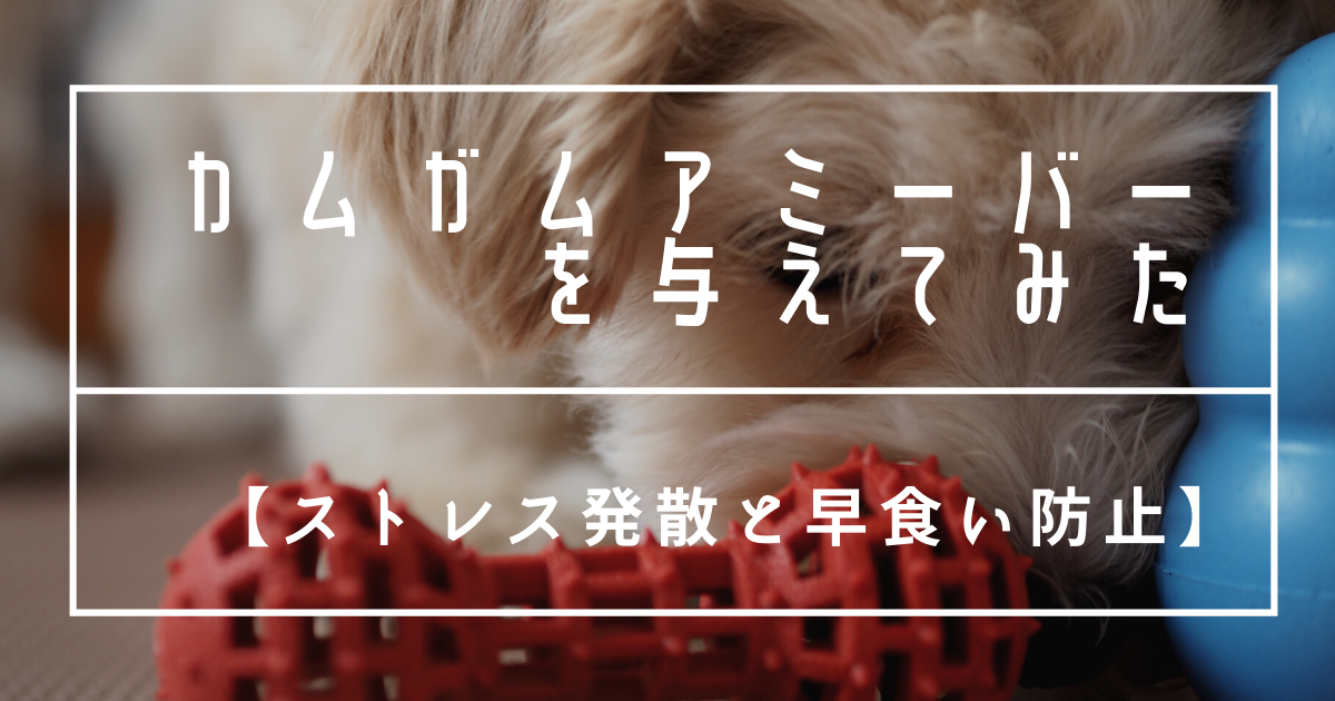 f:id:zokulifeblog:20210809085239p:plain