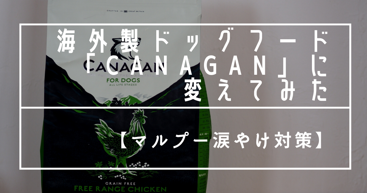 f:id:zokulifeblog:20210813221107p:plain