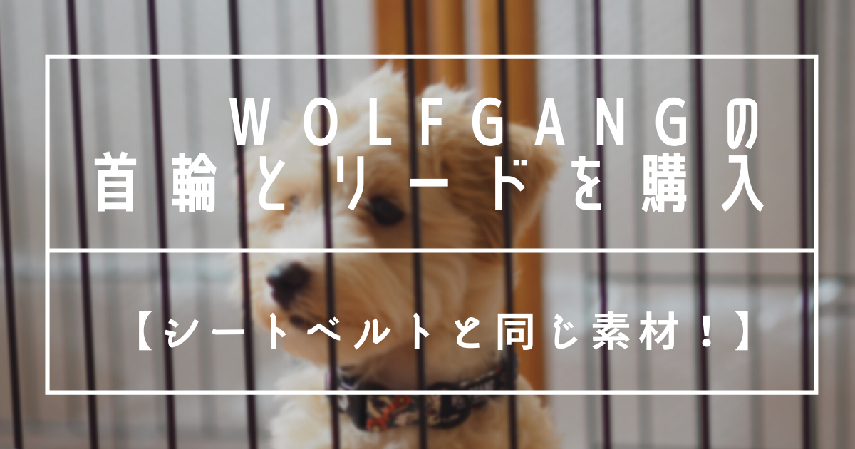f:id:zokulifeblog:20210815155918p:plain