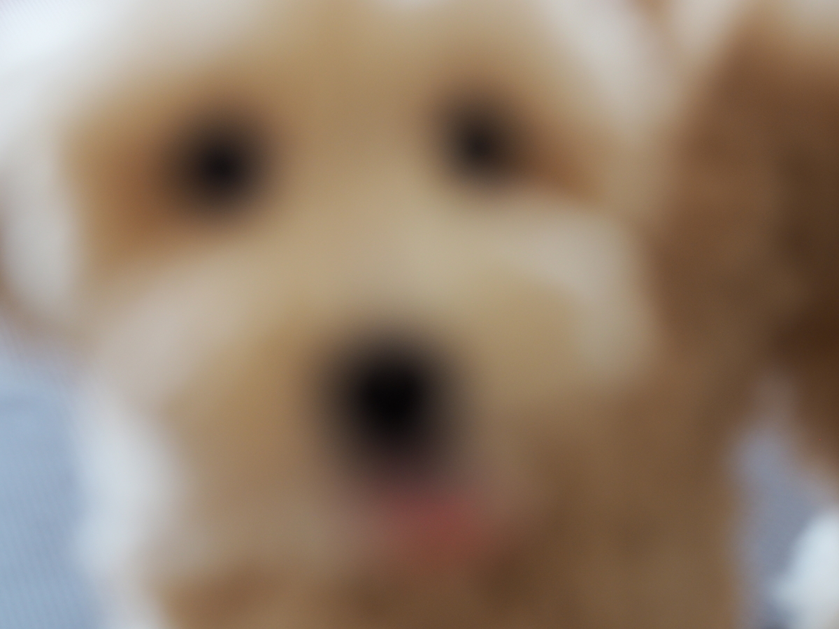 f:id:zokulifeblog:20211031142819j:plain