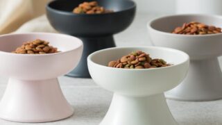 ①お手頃でおしゃれな陶器製フードボウル